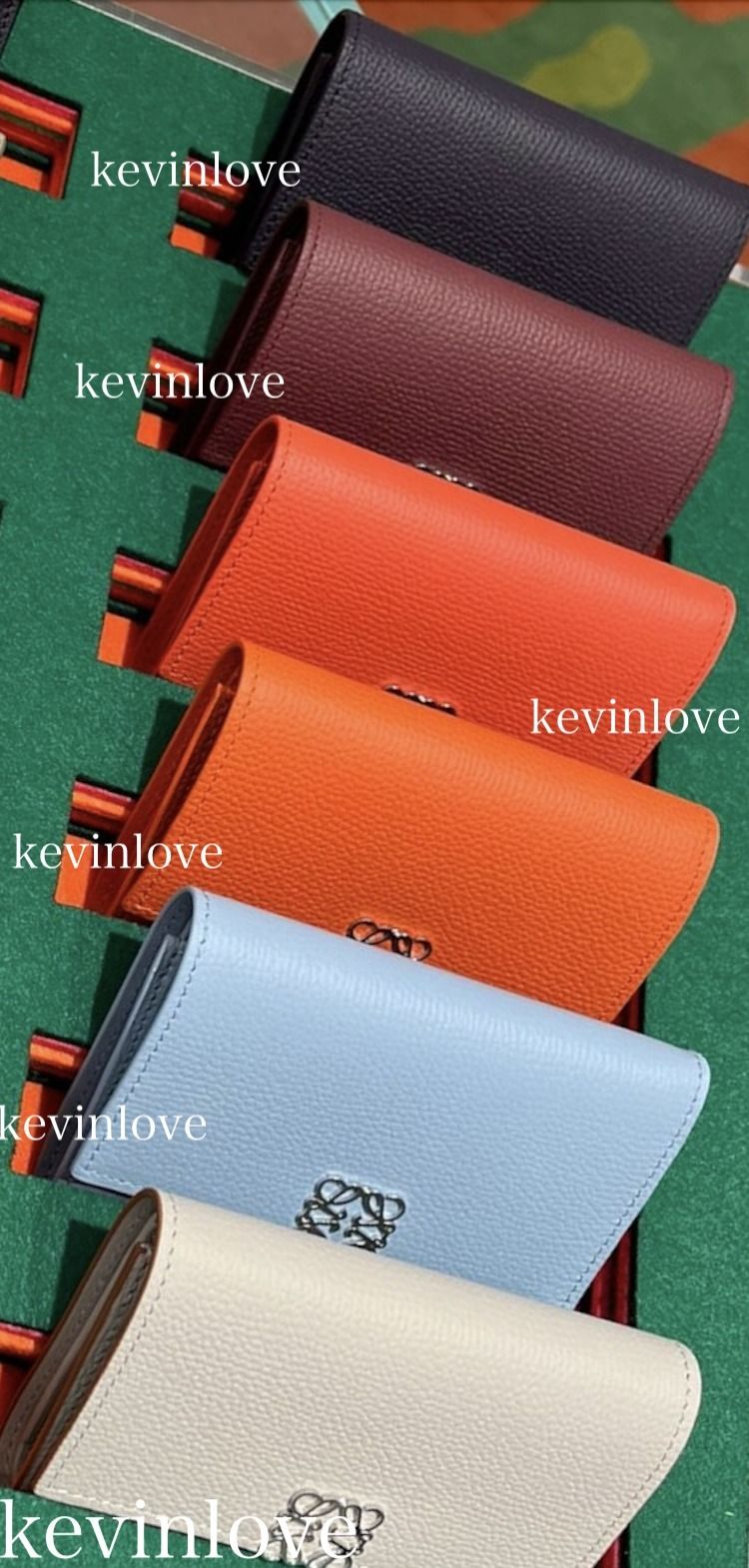 LOEWE - ロエベ LOEWE バーティカル ウォレット スモール