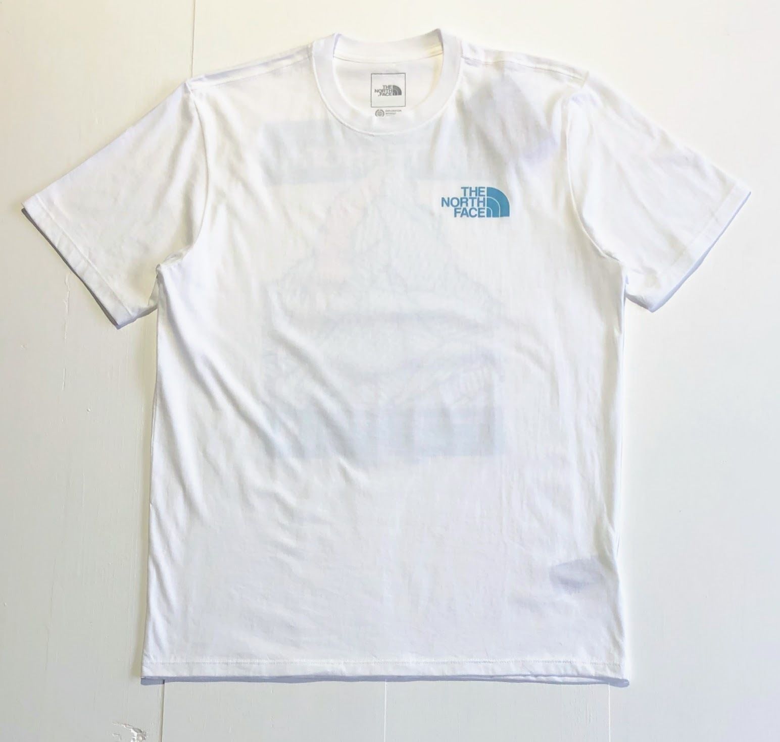 ☆海外限定/即発可*The North Face*マッターホルンTシャツ/H