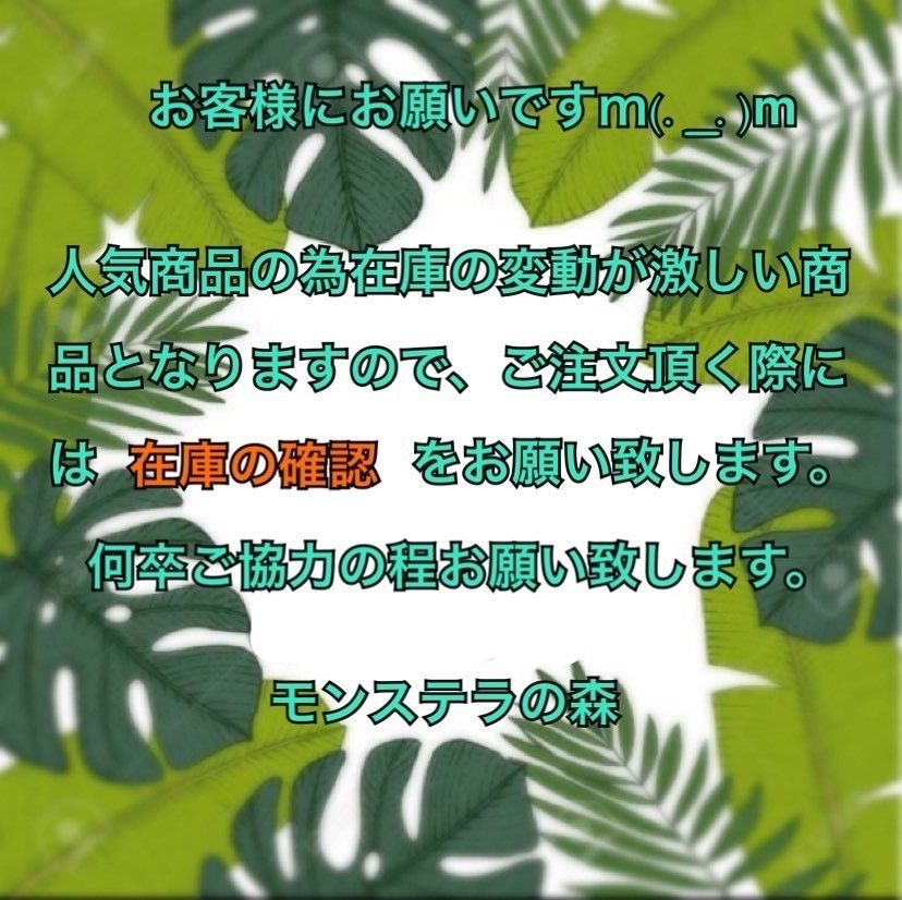 LES CLEIAS*BTS愛用*mini maya 花のリングピアス*送料込み* LES CLEIAS*BTS愛用*mini maya 花のリングピアス*送料込み* (Les