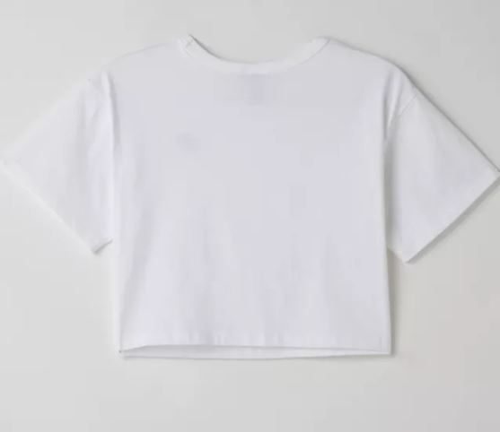 アメリカ限定【Champion】メンズ ヘリテージ クロップド Tシャツ アメリカ限定【Champion】メンズ ヘリテージ クロップド Tシャツ