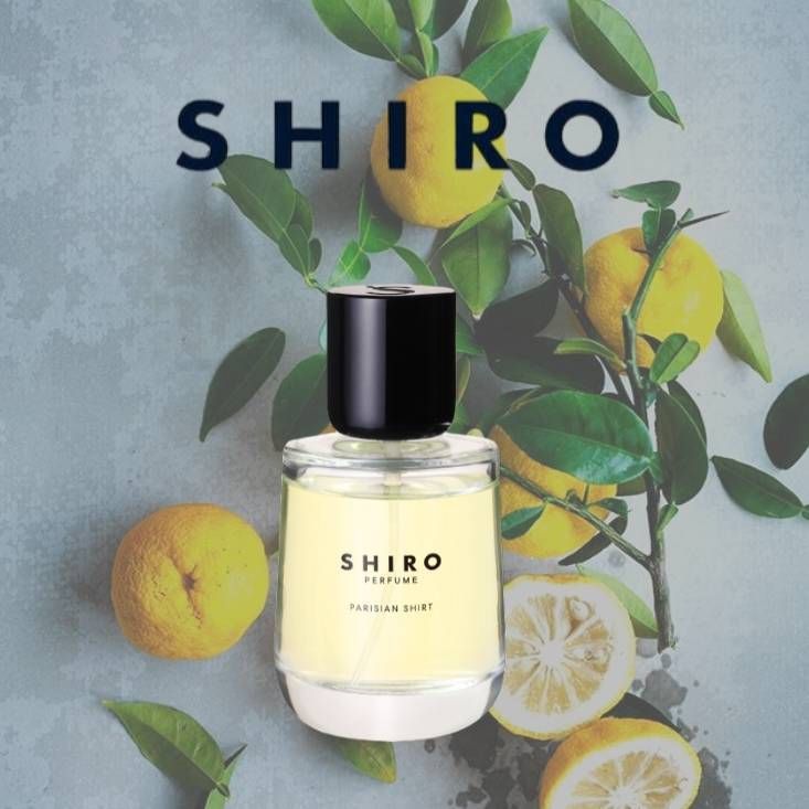 SHIRO パリジャンシャツ オードパルファン 哀しい