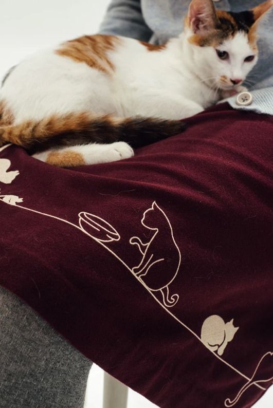 Taylor愛用ブランド♪Feline Fling Skirt*Aラインスカート Taylor愛用ブランド♪Feline Fling Skirt*Aラインスカート (Miss