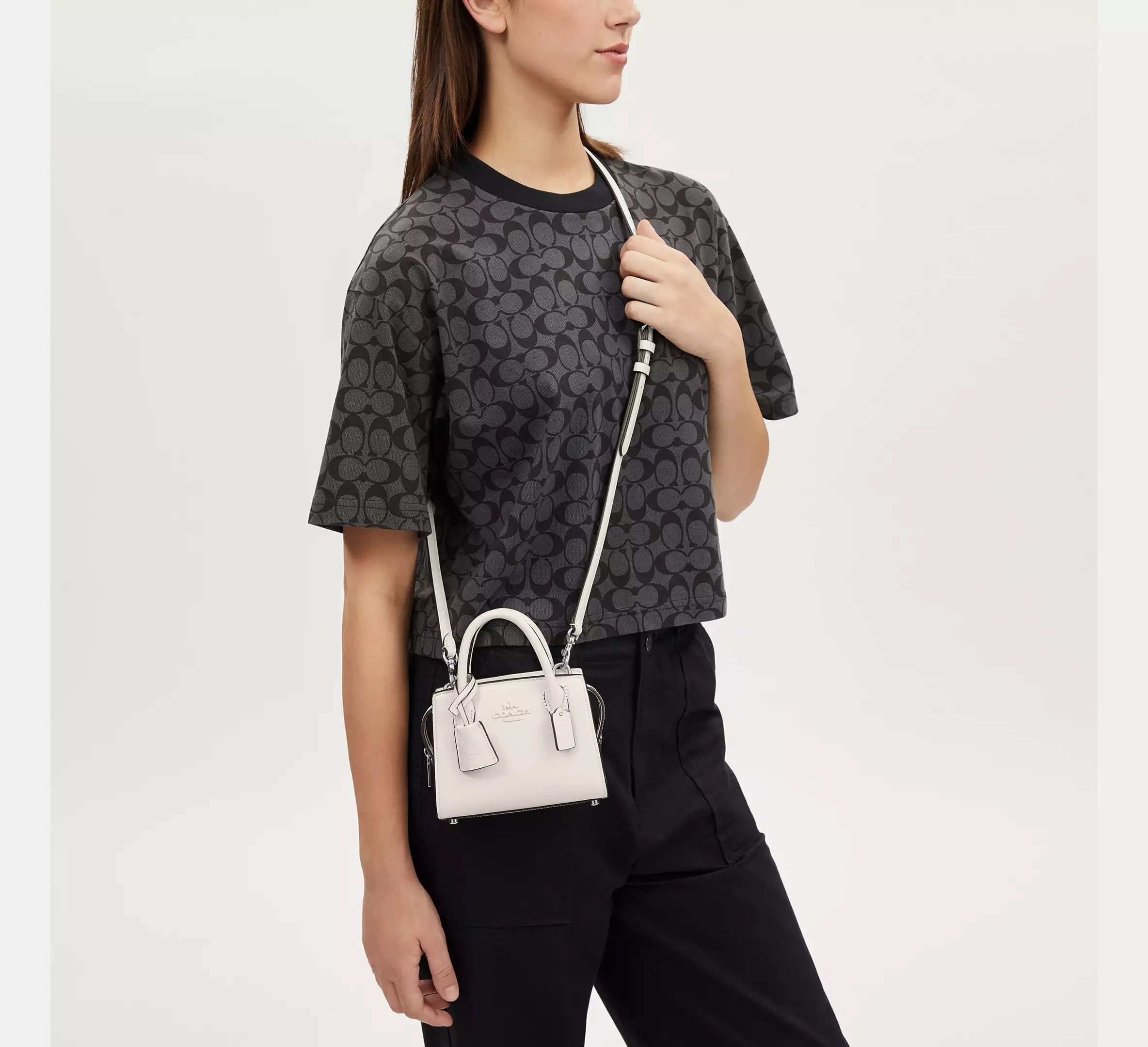 COACH☆アンドレア ミニ キャリーオール (Coach/ハンドバッグ