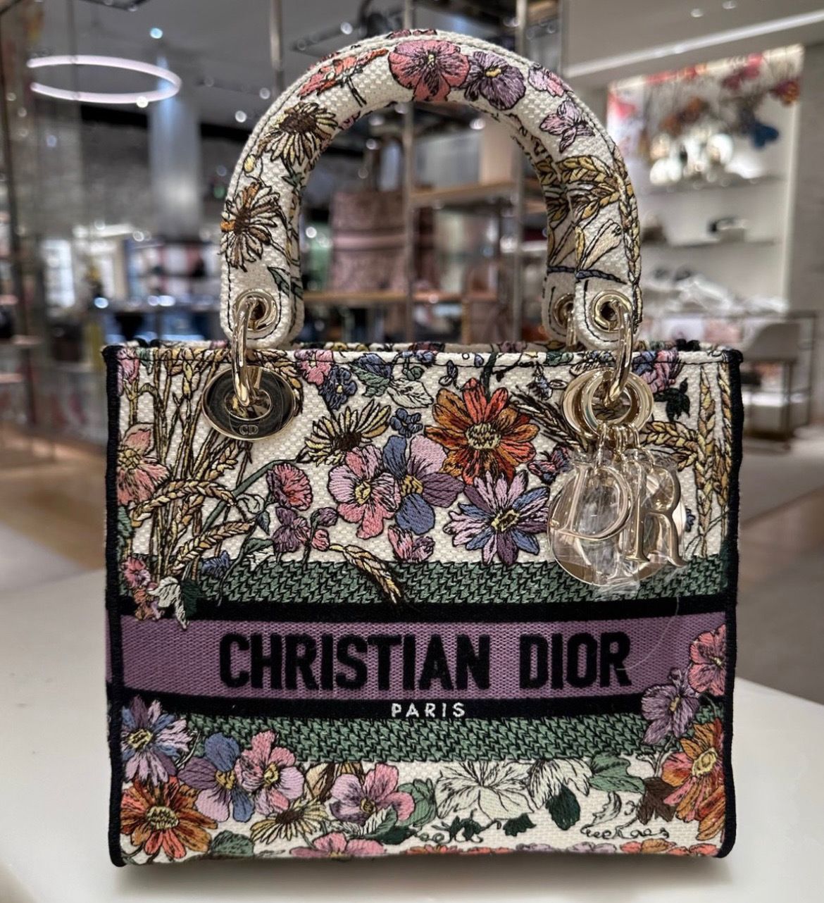 Dior 4 Saisons エンブロイダリー Lady D-Lite Medium (Dior