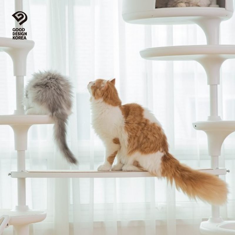 韓国GATOPERRO] (option)キャットホワイトポールはし (キャット
