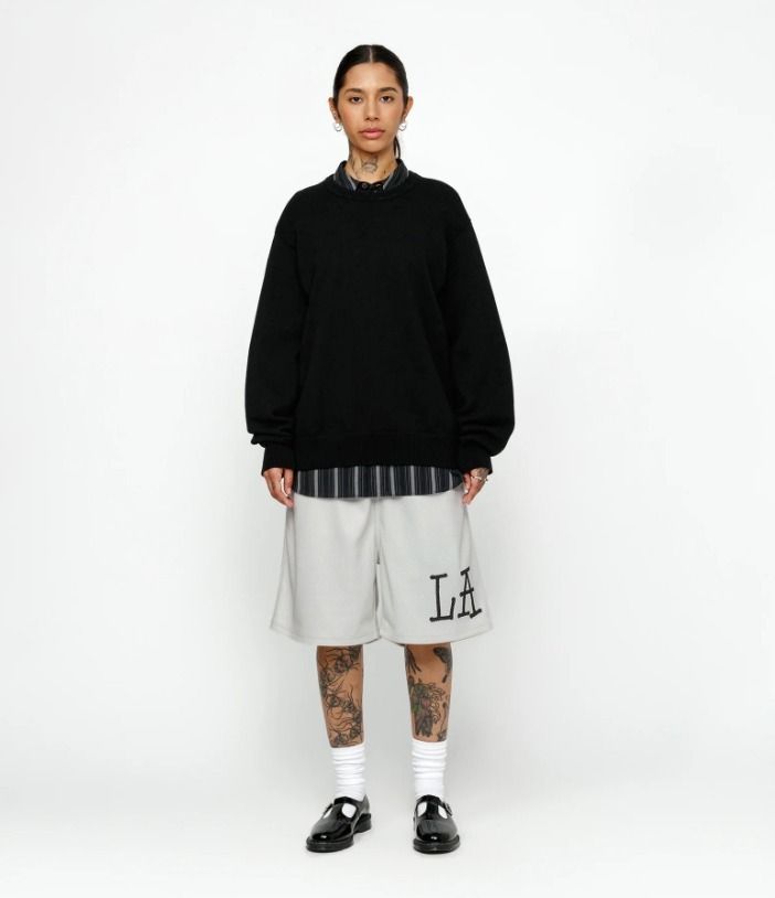 最高品質の ☆韓国の人気☆【Stussy】☆MESH SHORT LA☆ショーツ☆ (STUSSY パンツ