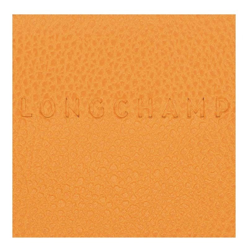 国内即発 【LONGCHAMP】ル フローネ カードケース レザー