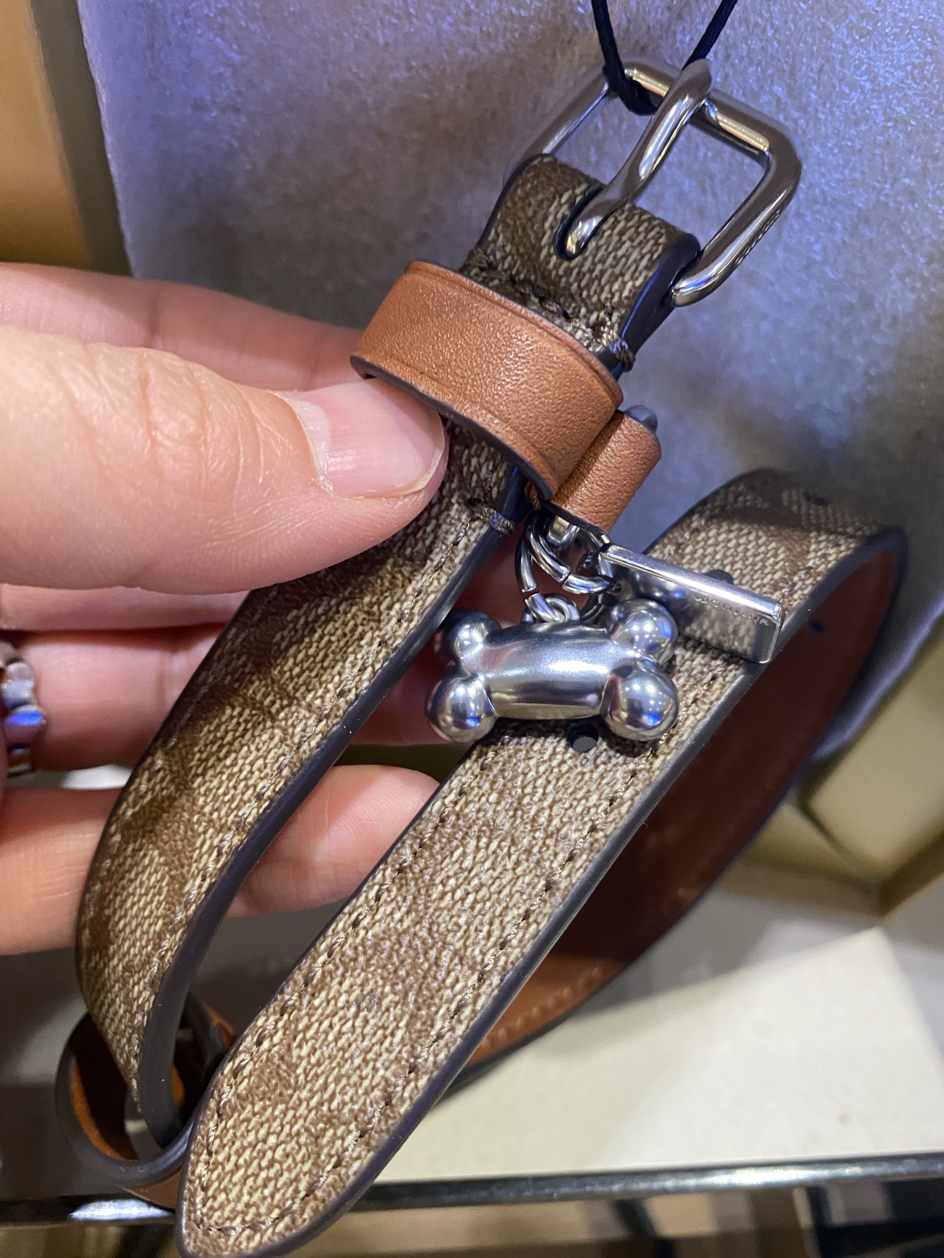 楽天市場】コーチ COACH リード ボックスド スモール ペット