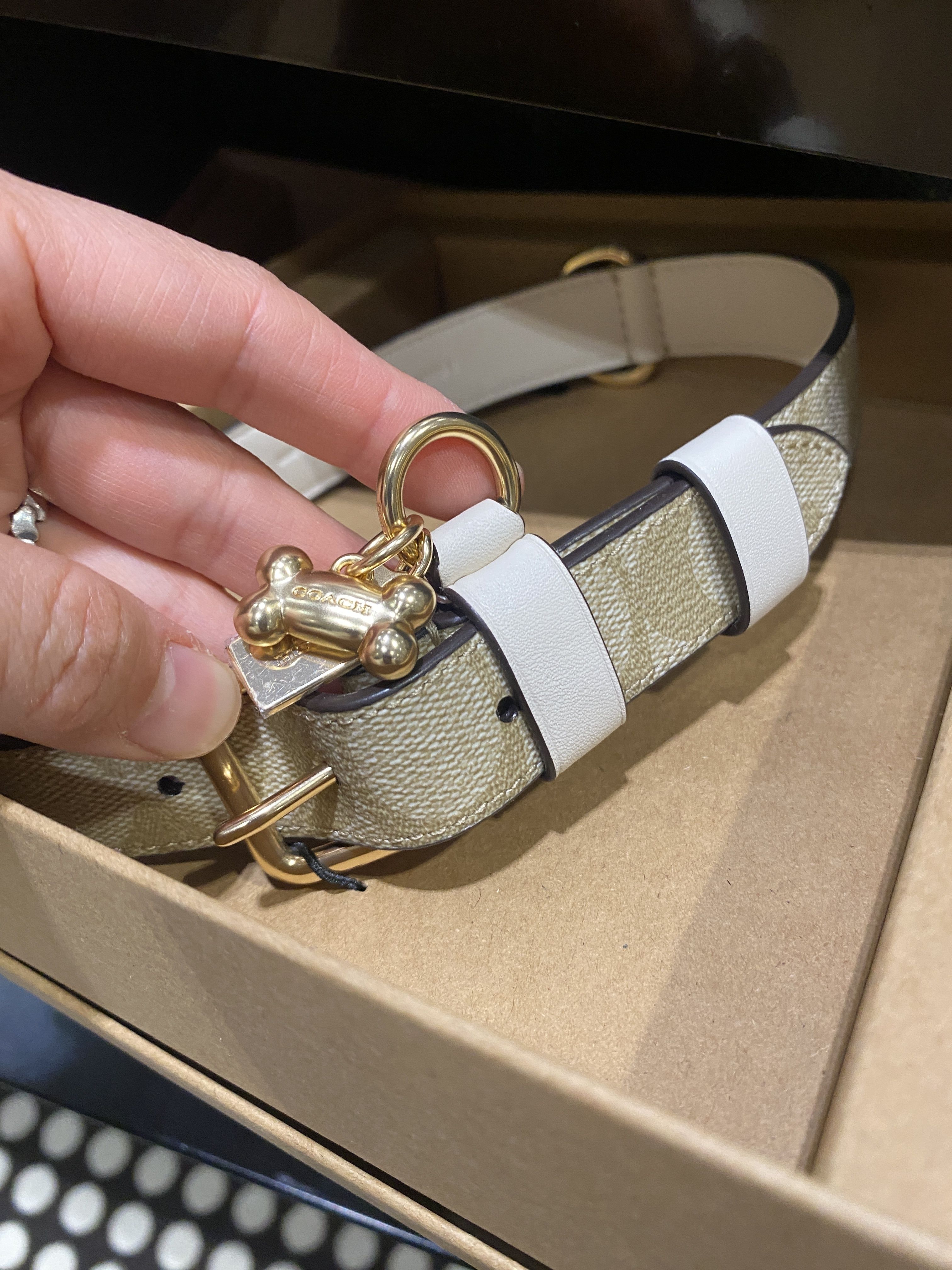 COACH】BOX入り＊小型犬用 モノグラム柄 骨のチャーム付き首輪