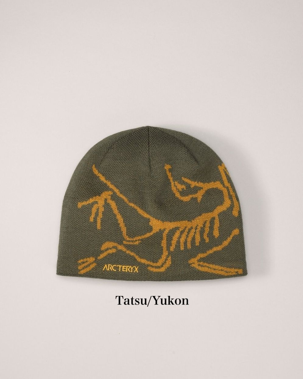 人気☆ アークテリクス Bird Head Toque バード ヘッド トーク (ARC'TERYX/ニットキャップ・ビーニー)  109927421【BUYMA】