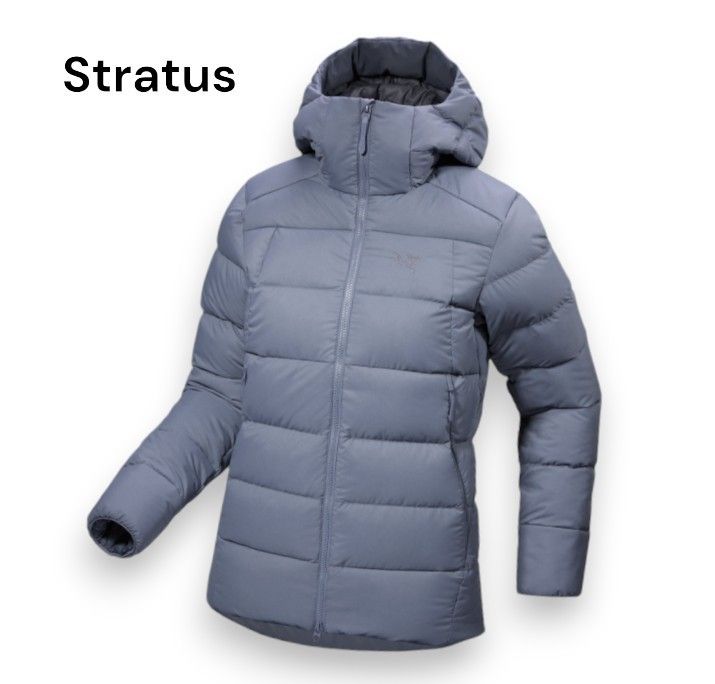 アークテリクス ARC'TERYX ダウンジャケット グレイッシュブルー
