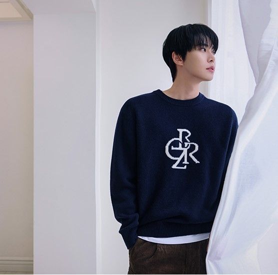 citybreeze☆韓国☆人気☆ブックルシンボルロゴ半袖ニット 4色