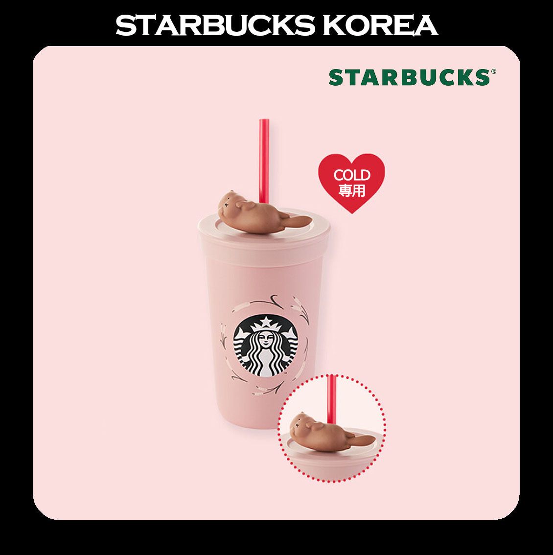 Amazon.co.jp: スタバ 韓国 限定 タンブラー 2023 バレンタイン
