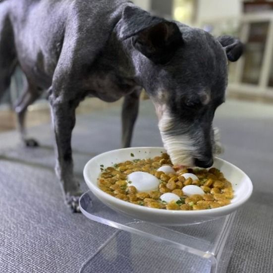 ★チャムチャムボール ペット食器 食もたれ防止 スロー食器★ ☆チャムチャムボール ペット食器 食もたれ防止 スロー食器