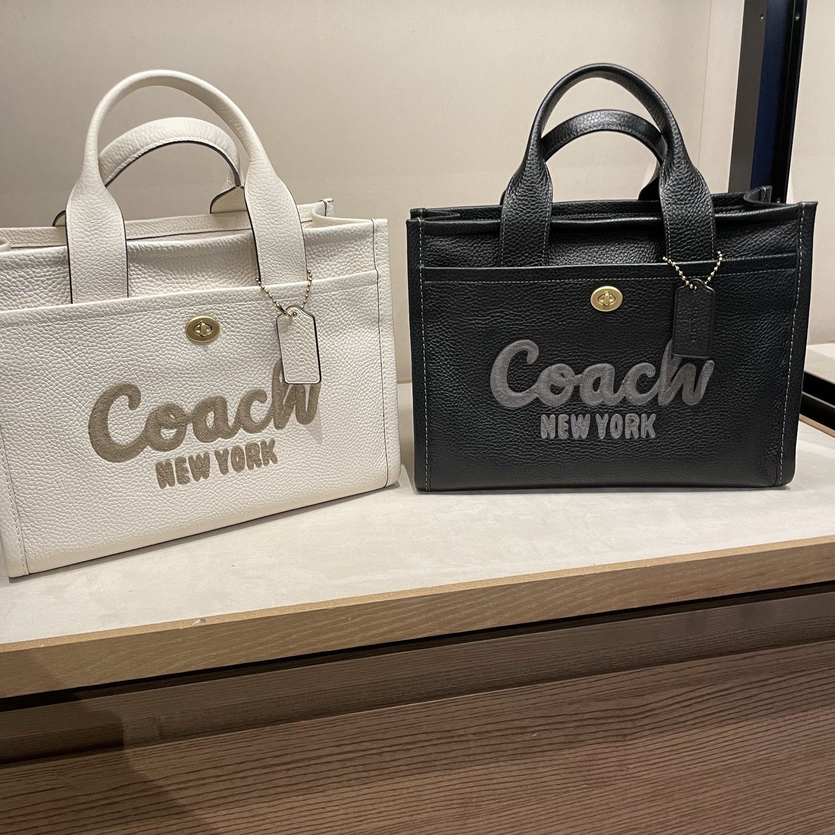 新作 COACH◇2Way レザー カーゴ トート バッグ CAM75 (Coach
