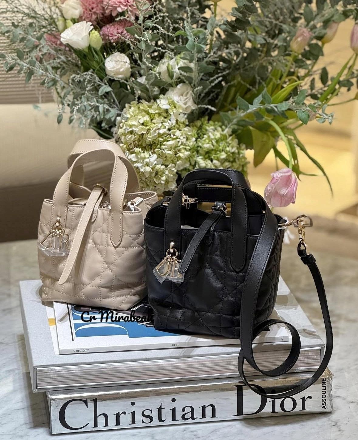 【オシャレ女子絶賛☆】Dior バーティカル Nanoトートバッグ DIOR | Dior Toujours バーティカル Nanoトートバッグ マクロ