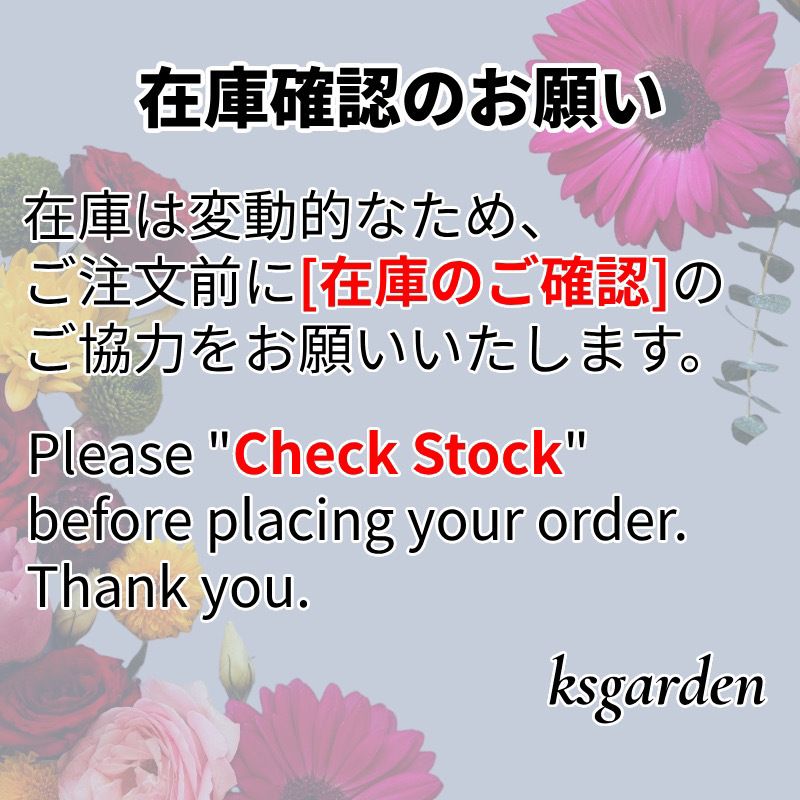 すぐ届く！GUCCI〔クローマ〕ラージ バックパック (GUCCI/バック