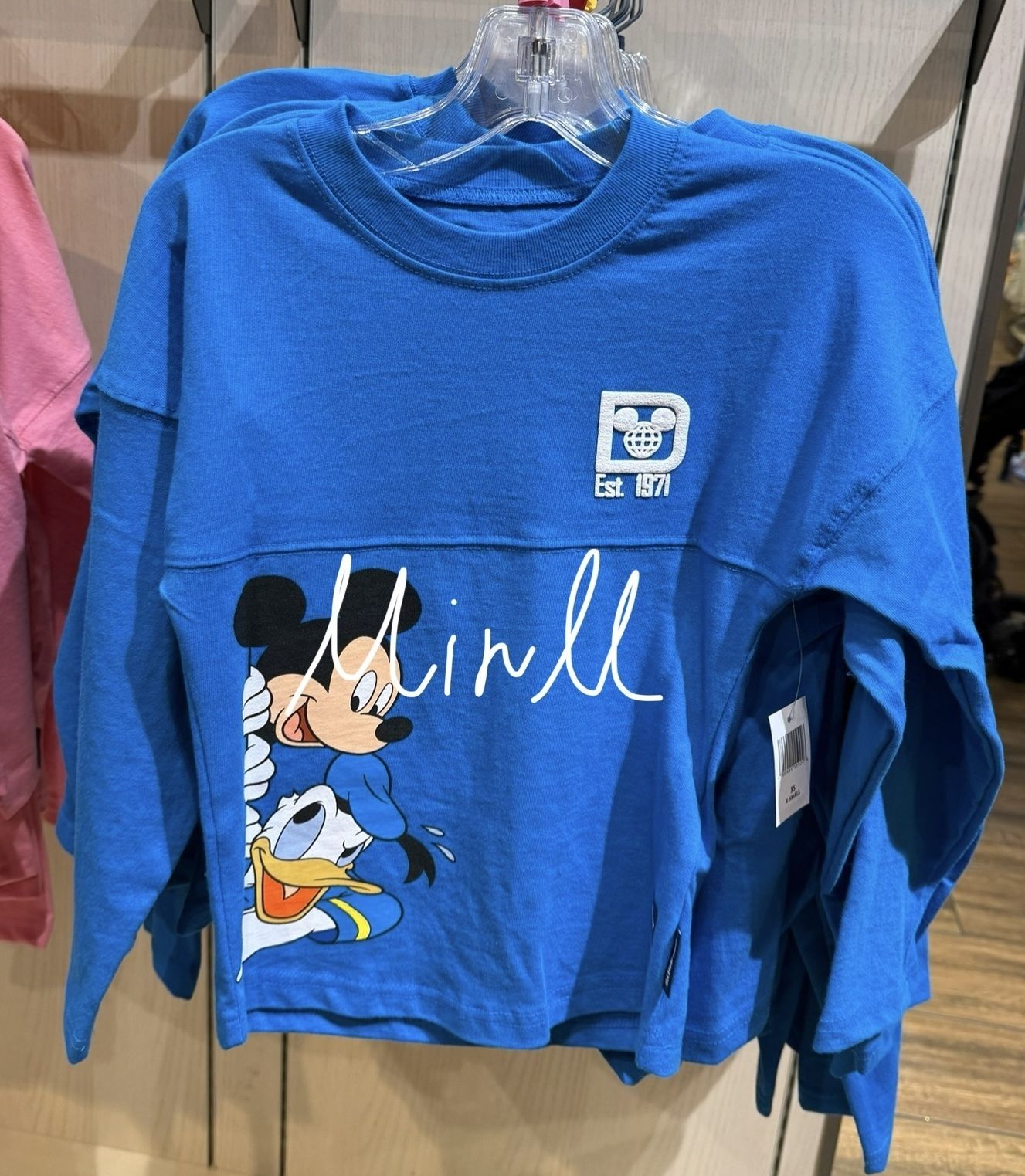 WDW ミッキー&フレンズ ディズニー 100周年 スピリット ジャ