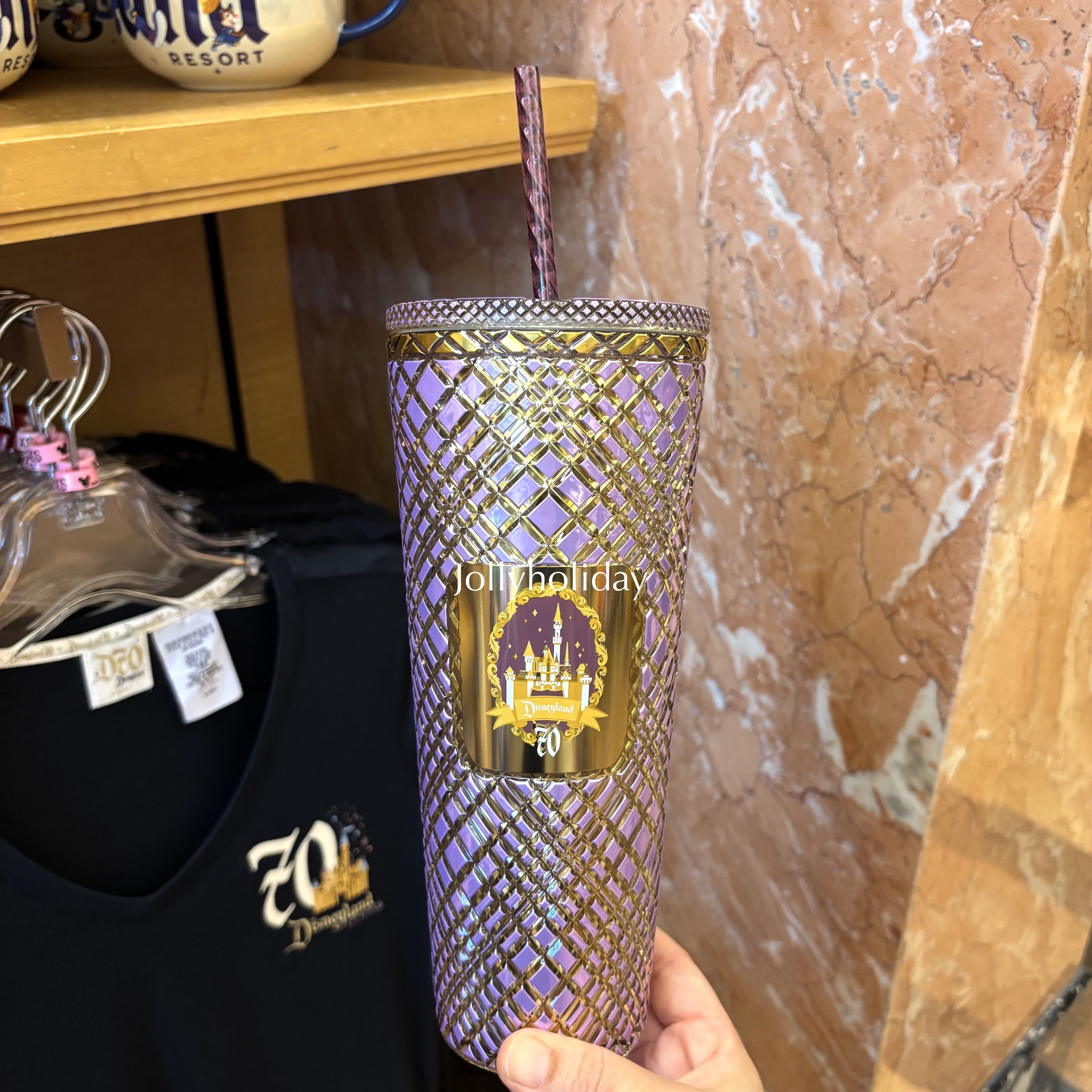 ☆Disneyland限定☆70周年 お城柄 カラビナ付ウォーターボトル ☆Starbucks☆Disneyland70周年記念 お城柄タンブラー